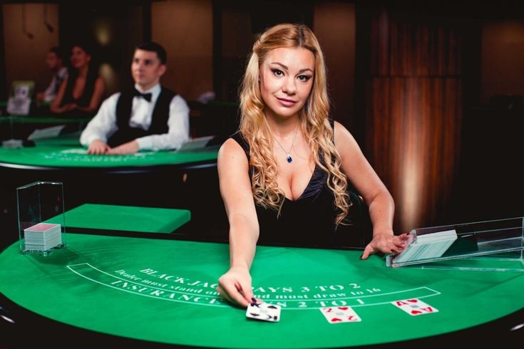 K9WIN PAKISTAN Live Casino